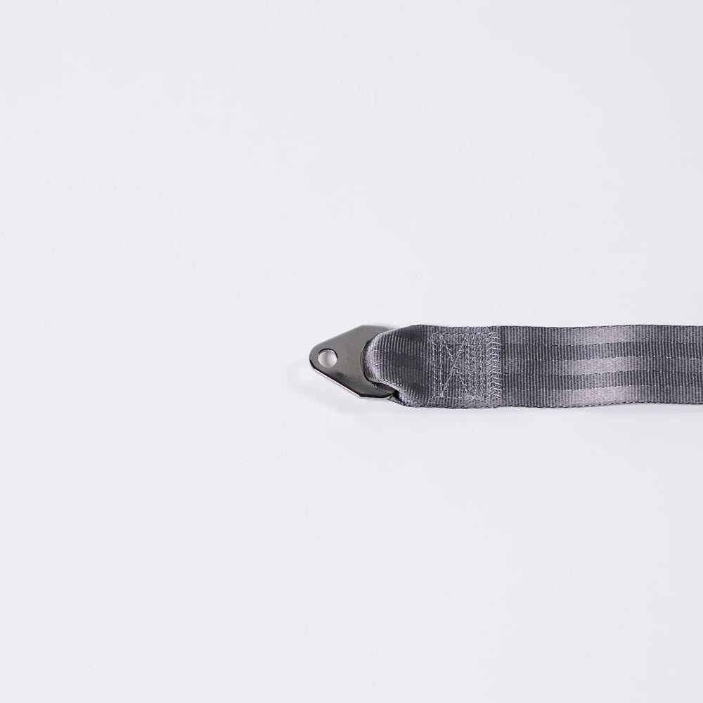 
                  
                    2-Point Lap Belt – Lift Lever Buckle
                  
                